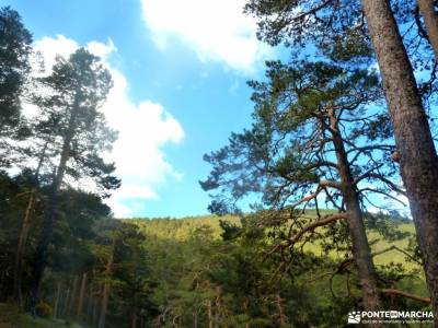 Siete Picos[Serie clásica]:Sierra del Dragón;parque natural sierra norte de sevilla senderismo cas